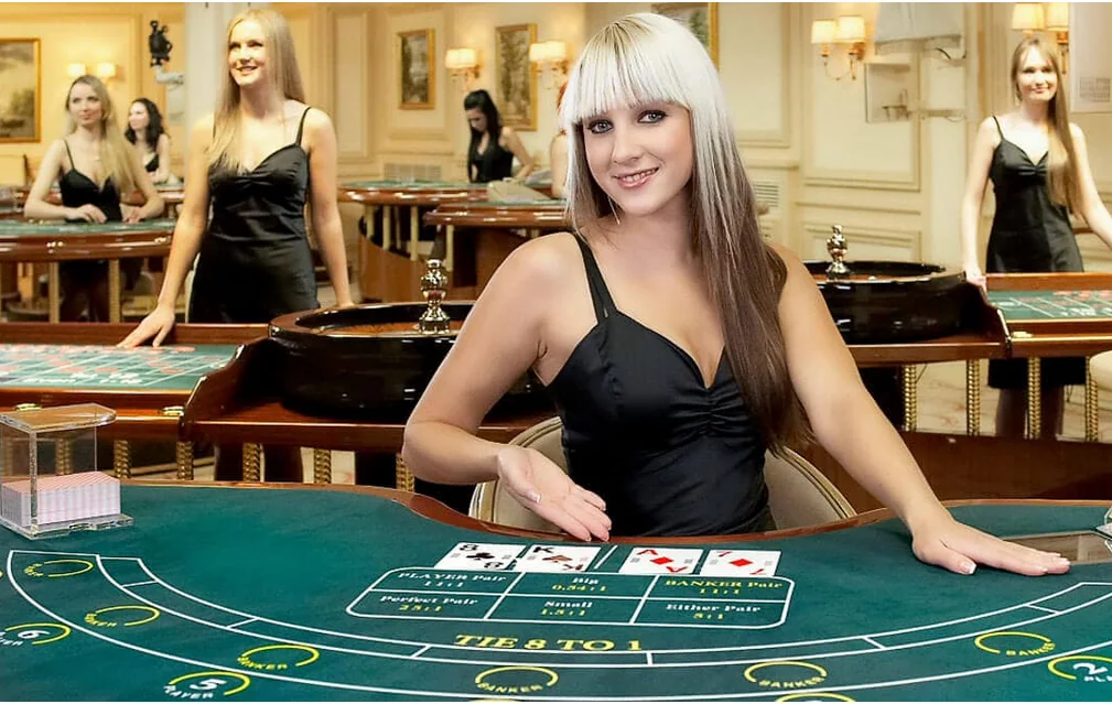 Meja dealer langsung untuk permainan kartu casino live